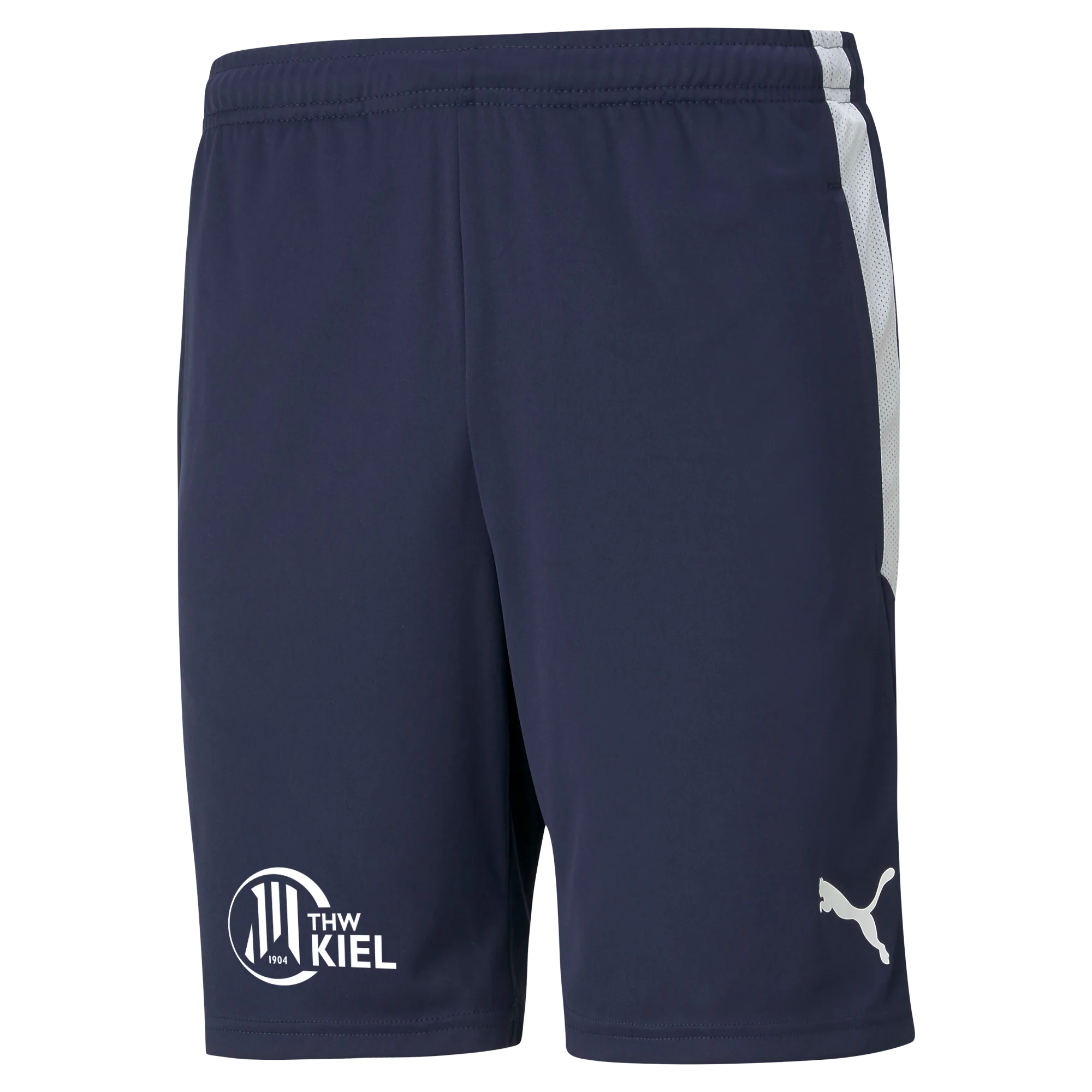 teamLIGA Training Shorts Peacoat